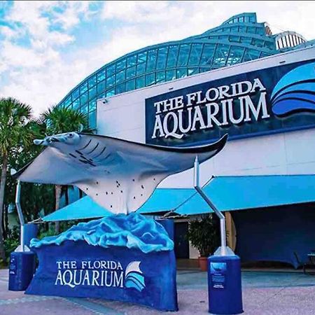 Minutes To Fairgrounds, Hard Rock, & Busch Gardens Villa Тампа Екстериор снимка