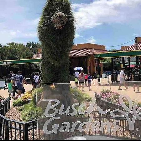 Minutes To Fairgrounds, Hard Rock, & Busch Gardens Villa Тампа Екстериор снимка